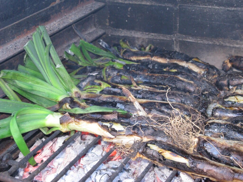 Calçots fent-se a la brasa