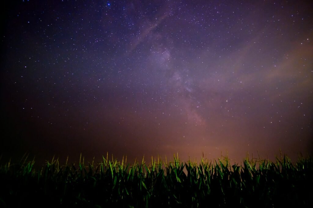 Cel estrellat sobre un camp de nit Stars over Aigüestortes