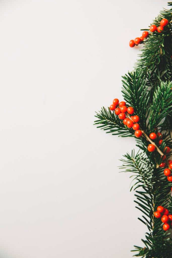 Branca d’avet amb decoració de Nadal